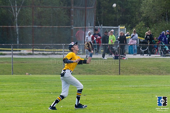 Laurentian Vees Baseball